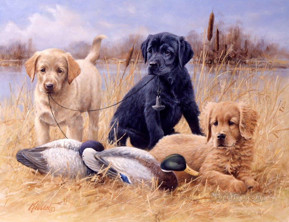 am279D13 animal dogs Oil Paintings